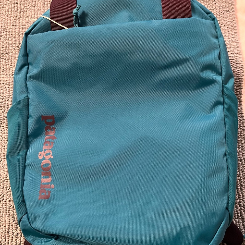 Patagonia Atom Tote Pack 20L
Color: Belay Blue